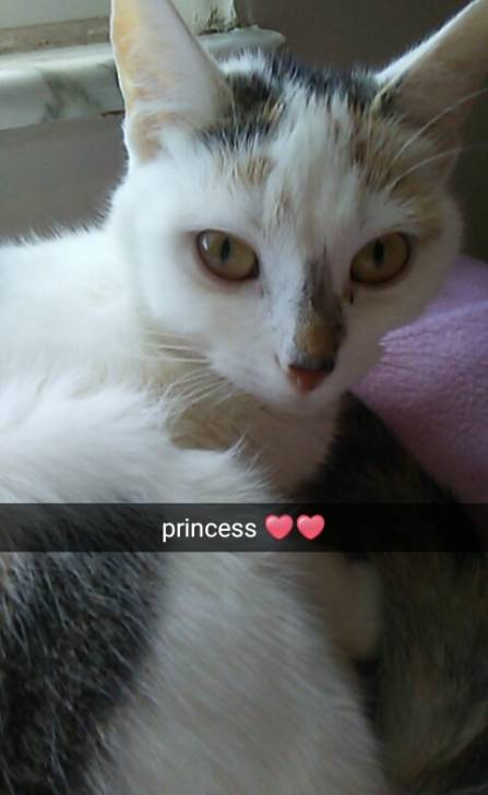 Jewels - (2 ans)