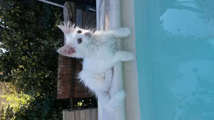 Missy &hearts; - (2 mois)