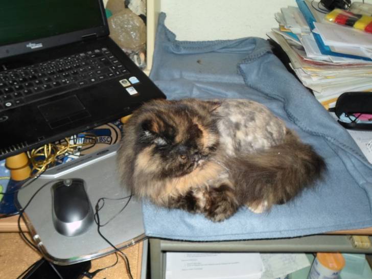Trixi - (15 ans)