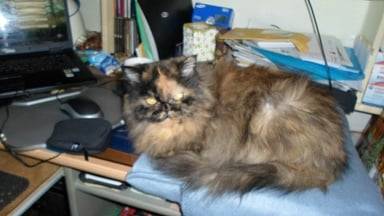 Trixi - (15 ans)