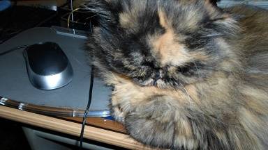 Trixi - (15 ans)