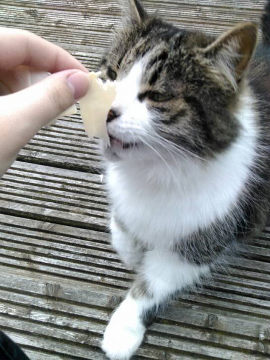 Milly -
