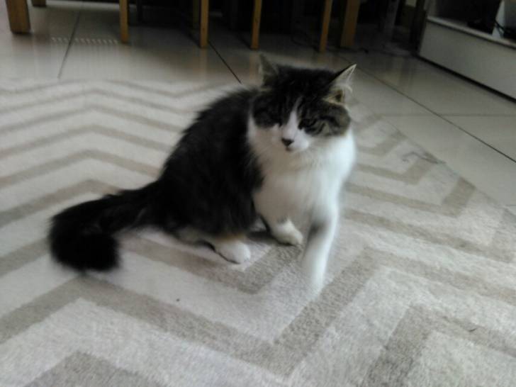 Milly -