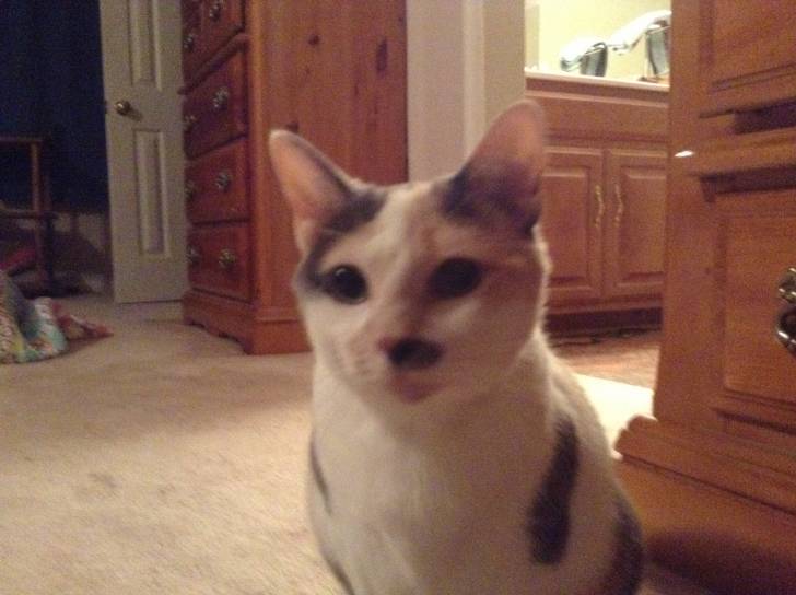 Luna - (7 ans)