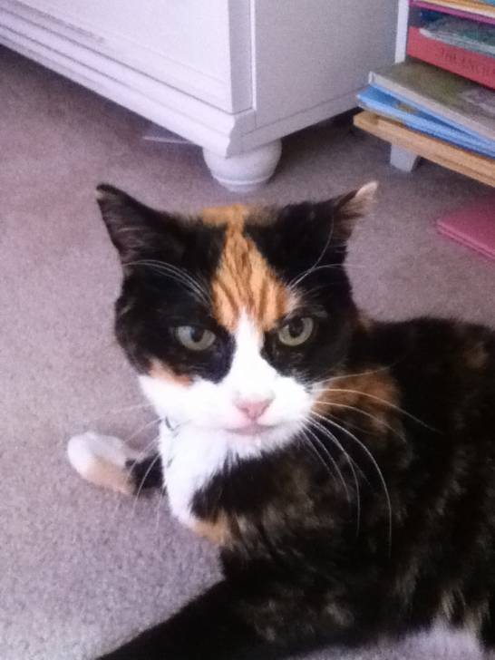 Calamity - (16 ans)