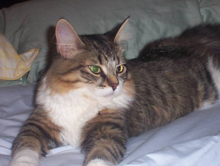 Zoey - (11 ans)