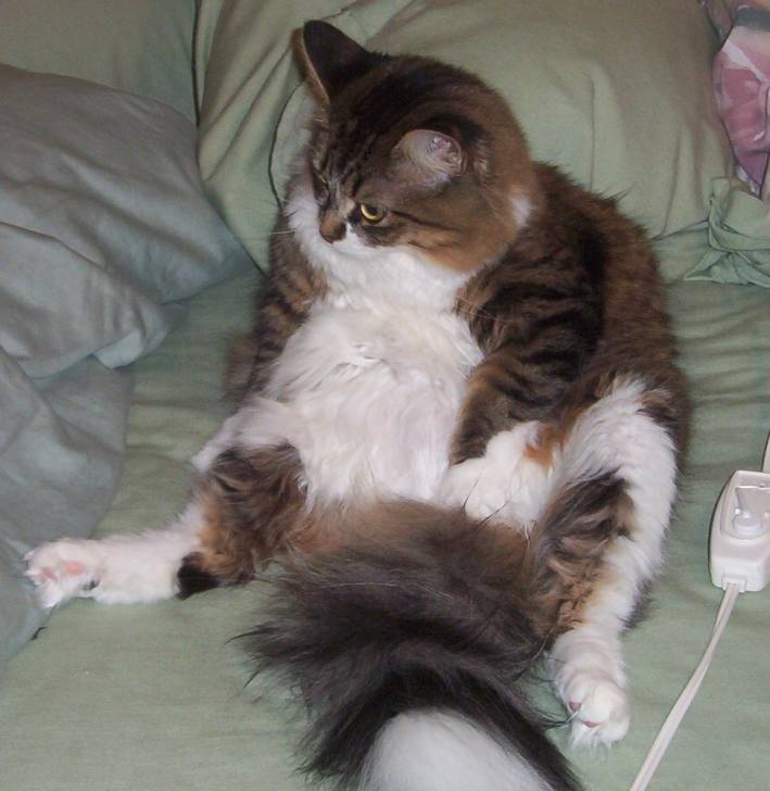 zoey - (11 ans)