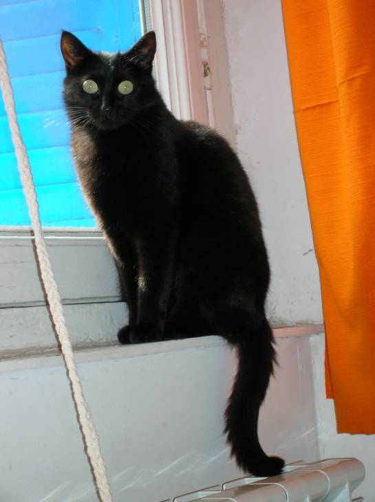 Kiona - (3 ans)