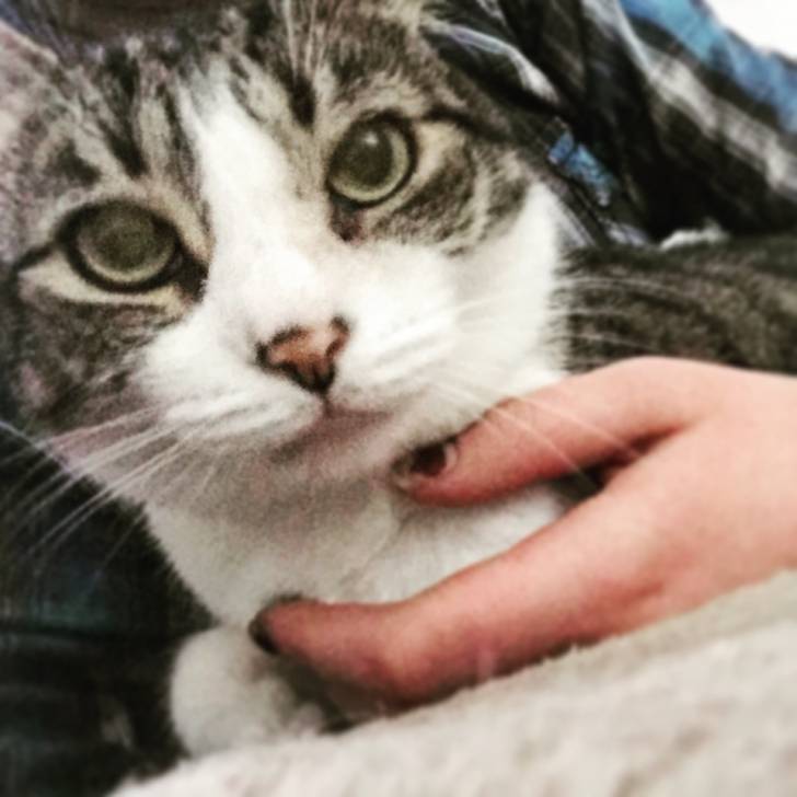 Delilah - (4 ans)