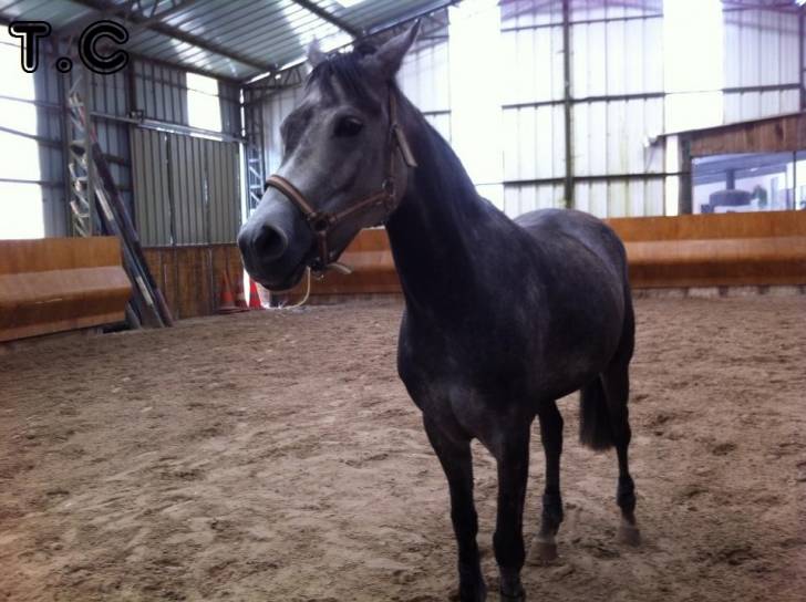 Soraya - (4 ans)