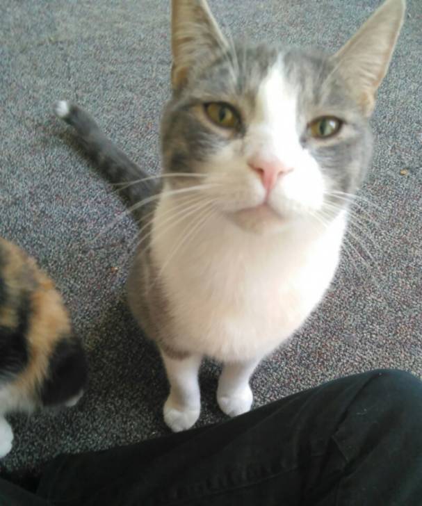 Princess and Sprinkles -