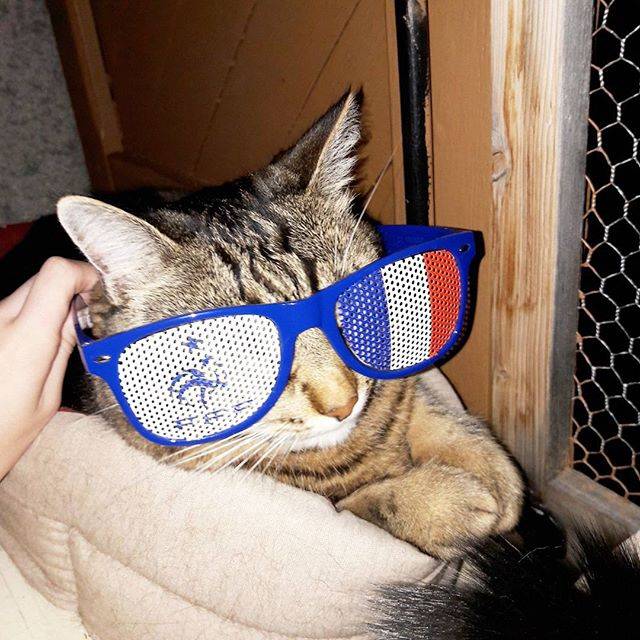 Noisette - (9 ans)