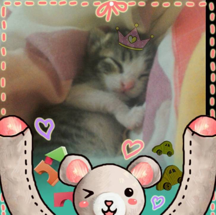 Michelle - (1 mois)