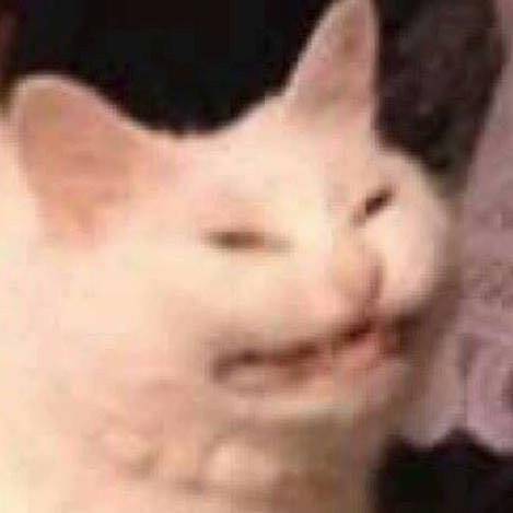 Angery - (Autre)