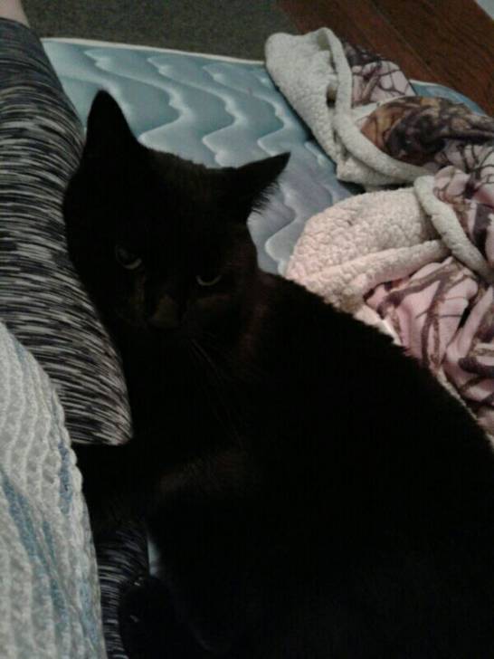 Baby - (3 ans)