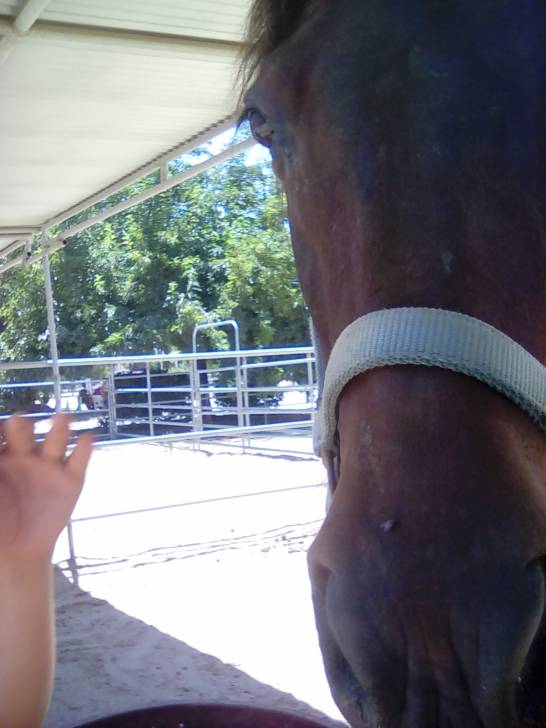 Hanna - (7 ans)