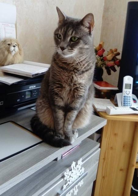 Loona-Blue - (10 ans)