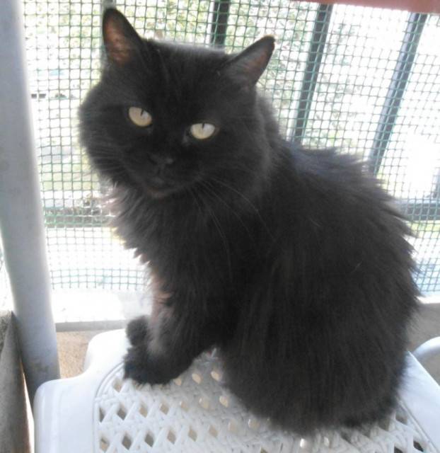 Harmonie - (5 ans)