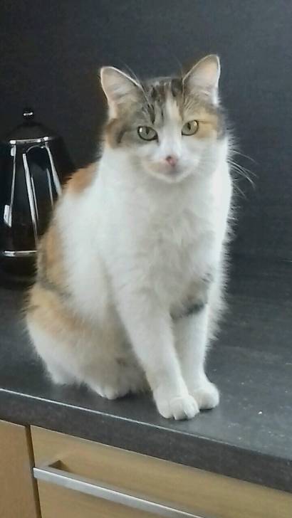 Kiara - (2 ans)