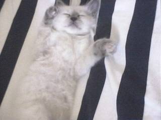 Bebe dort profondemment -