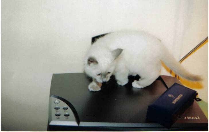 Shadow explore le scanner -