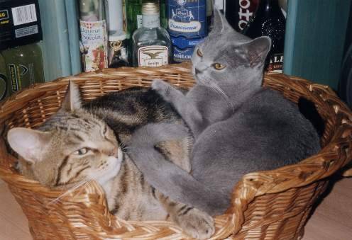 Petite sieste à deux -
