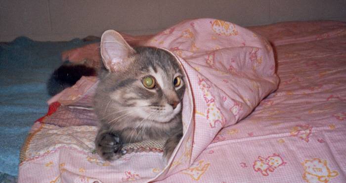 Cachette ! -