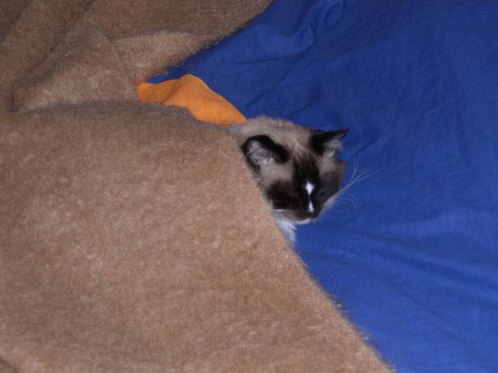 La sieste ! -