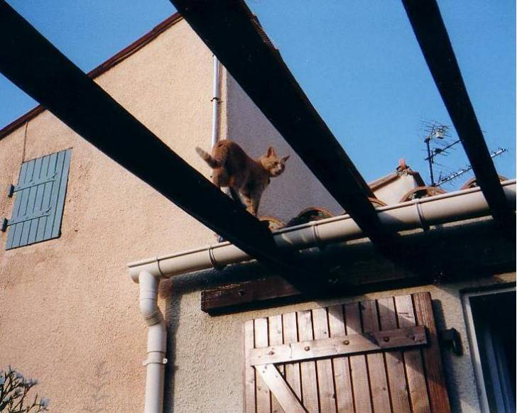 Europ?en -