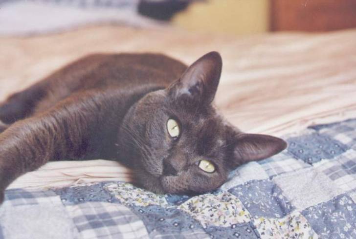 Photo (2 ans)