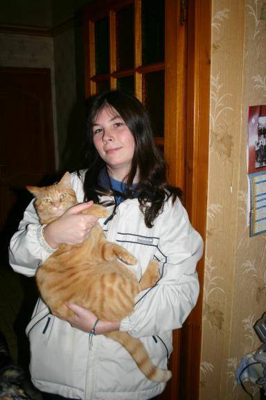 Chat -