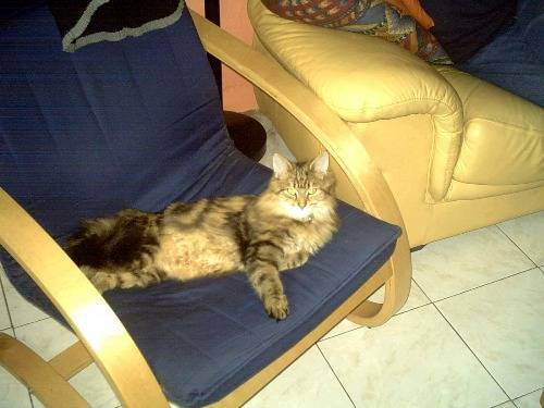 Photo (9 mois)