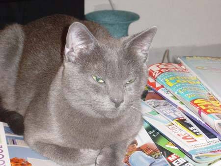 Inconnu -