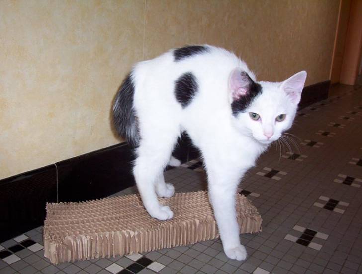Milton -
