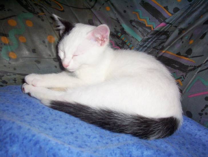 Milton -