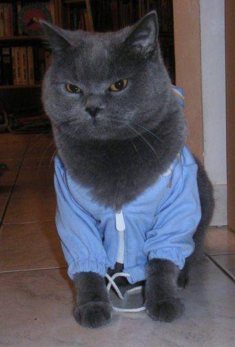 Romeo avait froid.. -