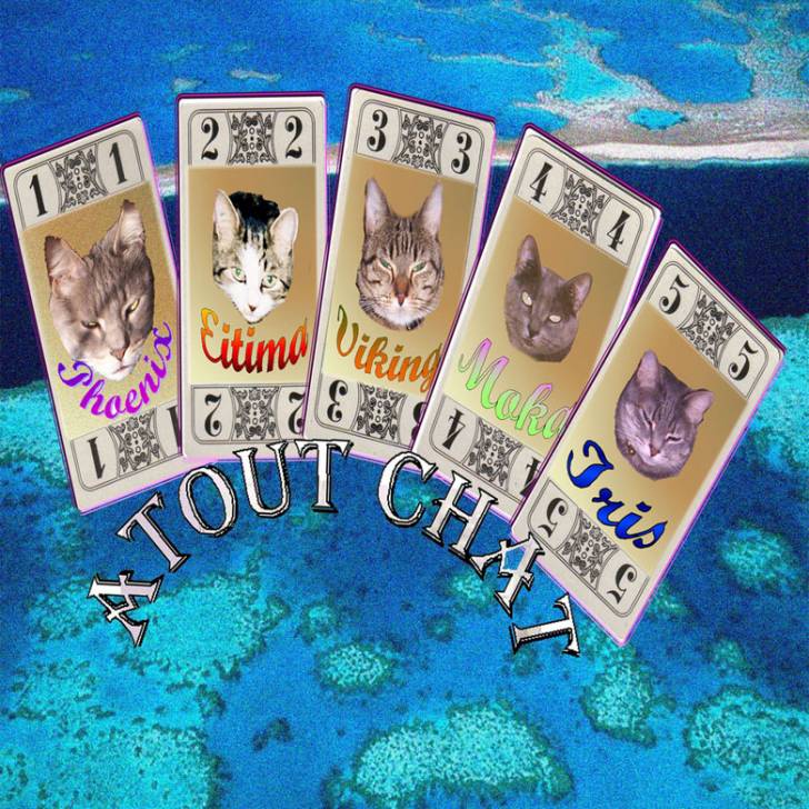 La bande des cinq -
