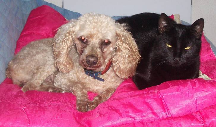 Caramel et fanny !!! -