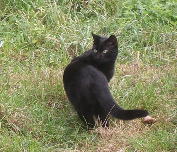 Qui me suis? -