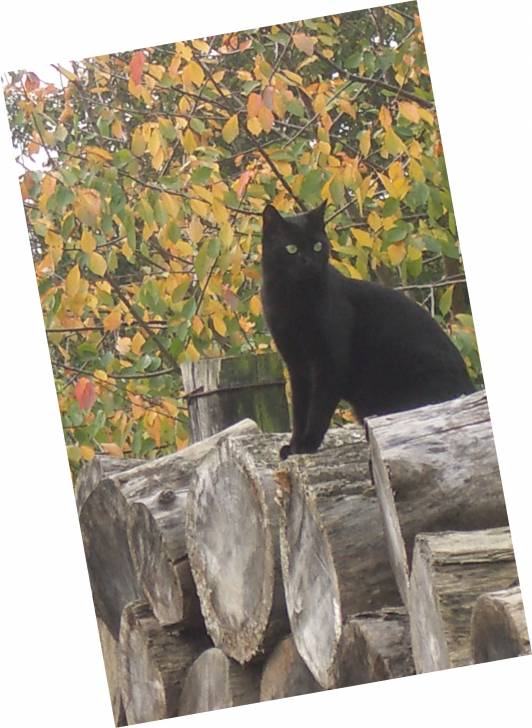 Une belle journée d&#39;automne !!! -
