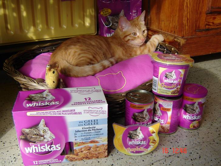 Tadrouil entouré de toute la gamme Whiskas -