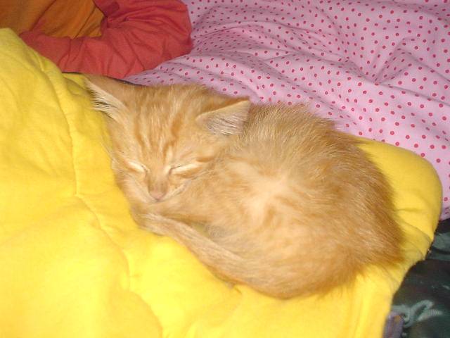 Bébé Sean qui dort -