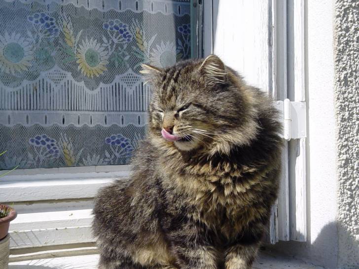 Mon nom c&#39;est robert!! -