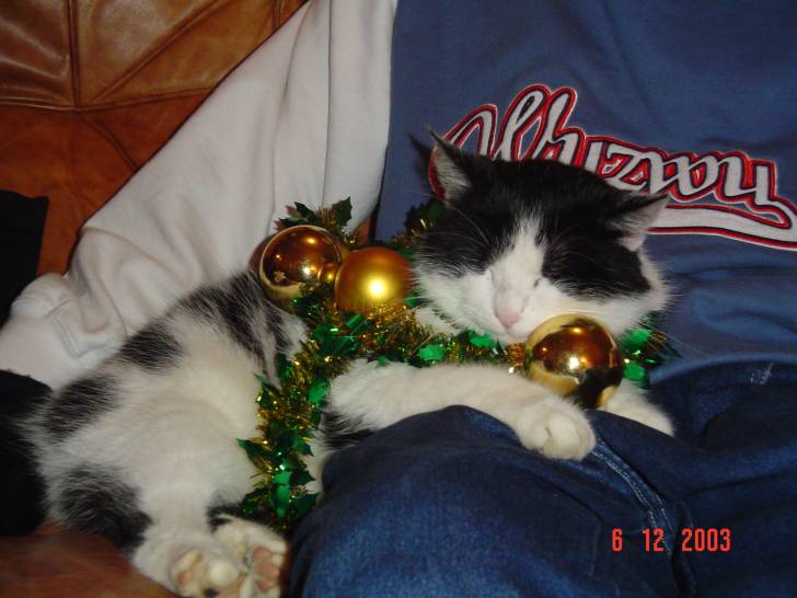 Mickey sapin de noel! -