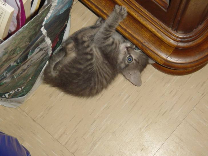 Cloé, A peine 1mois! -