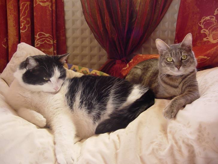 Mickey et Cloé! -
