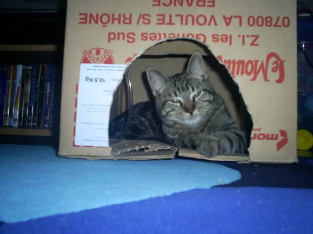 Mimi dans sa maison -