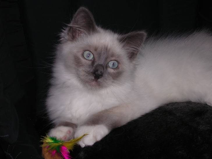 Balthazar à 3 mois - (3 mois)