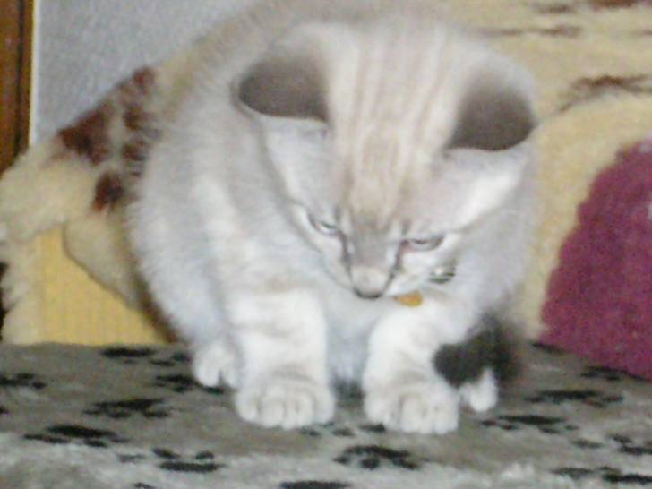 Petite pose -