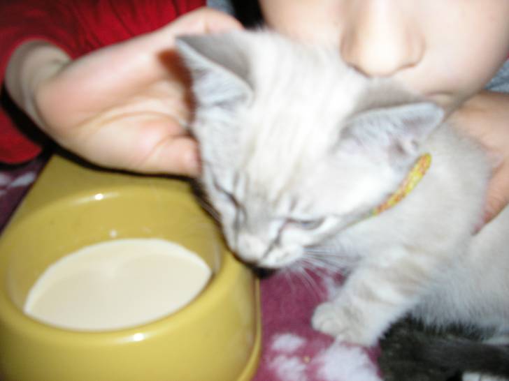 Petit calin -